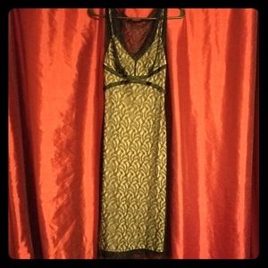 Express cocktail dress. Gorgeous date night dress!